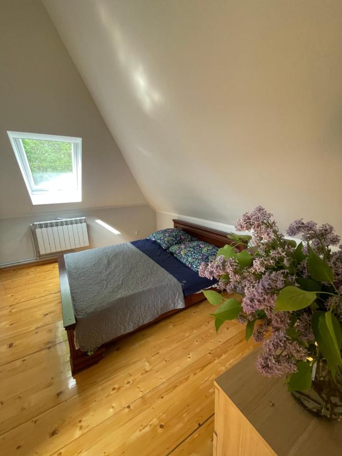 Apartament Słonecznikowe gniazdko Miłomłyn Zewnętrze zdjęcie
